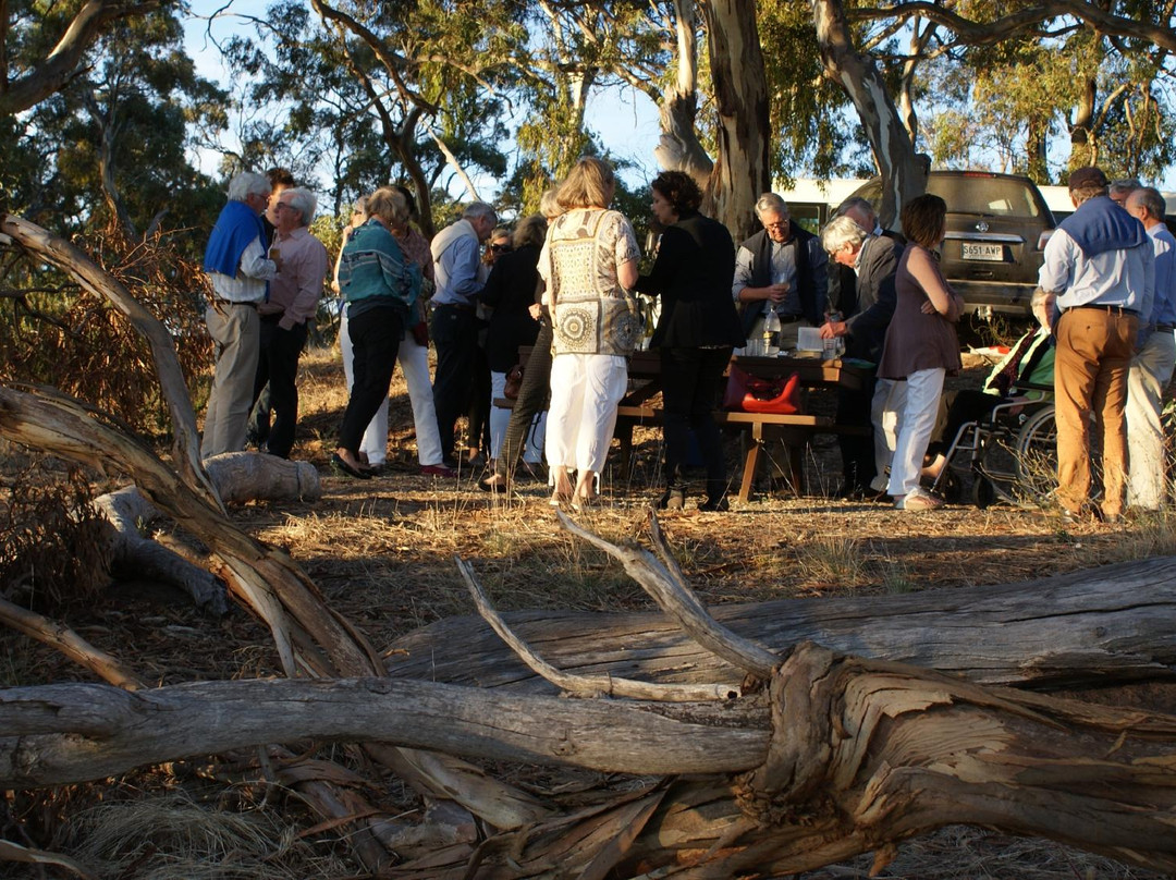 Clare Valley Tours景点图片