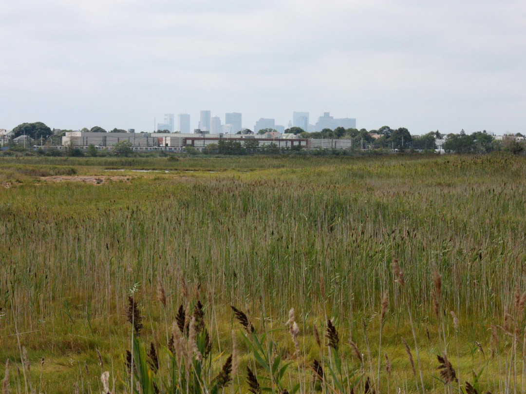 Belle Isle Marsh Reservation-波士顿必去景点