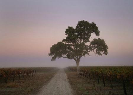 Brand's Laira-Coonawarra必去景点