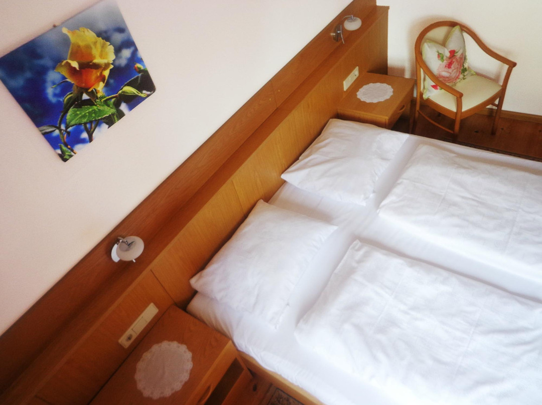 Hotel Restaurant Zum Falken主图