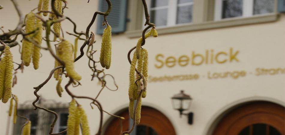Seeblick am Burgäeschisee主图