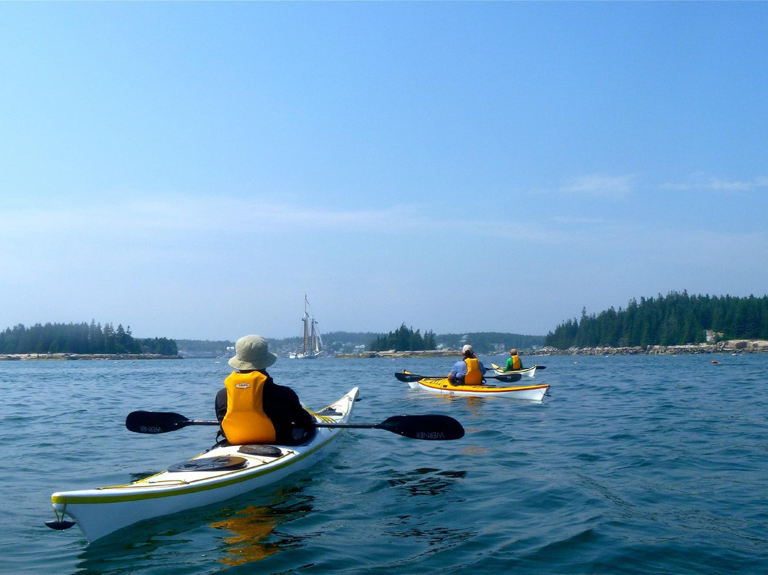 Driftwood Kayak景点图片