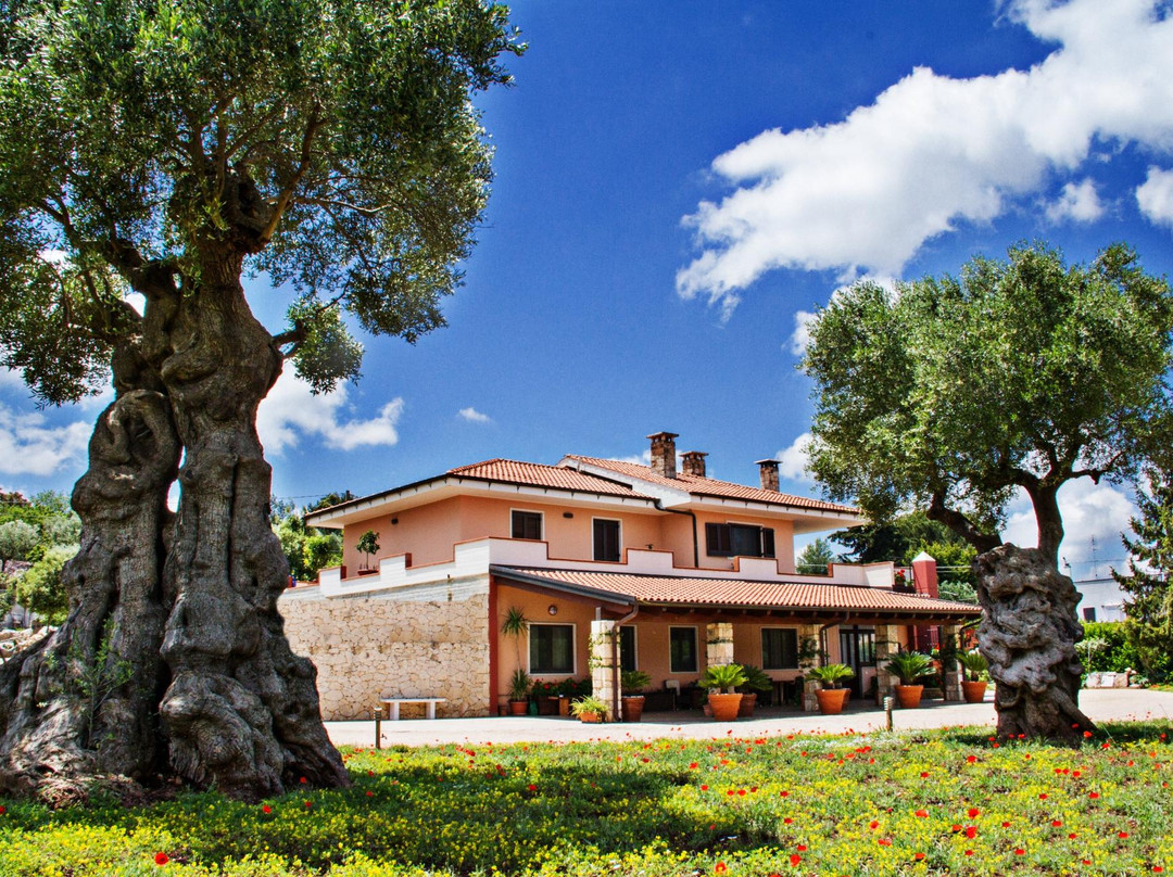 诺奇酒店住宿-Le Bianche