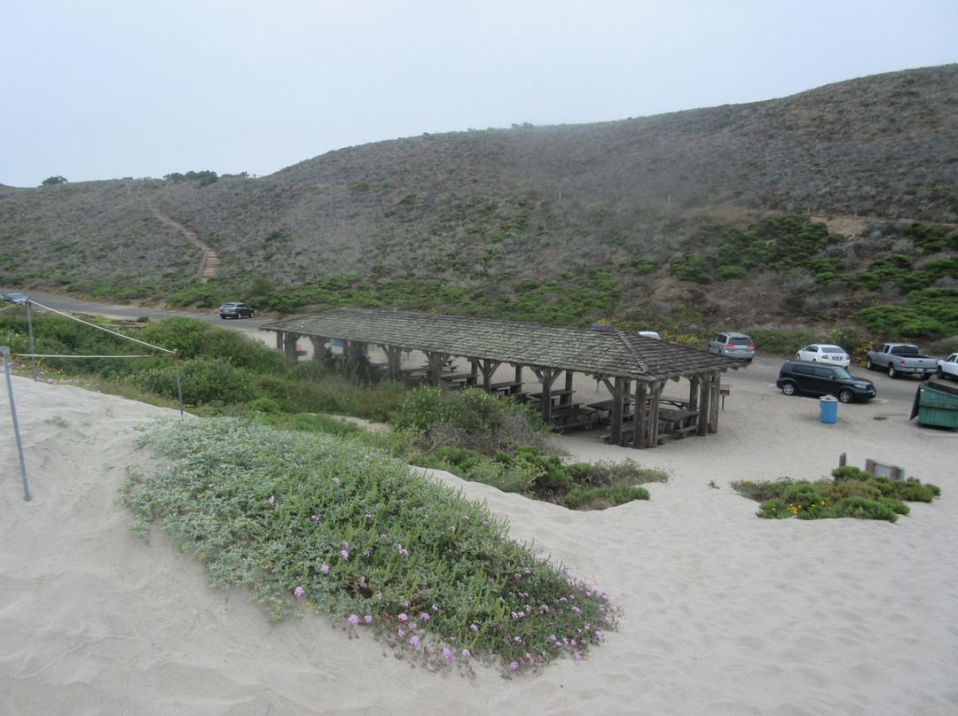 Sunset State Beach-沃森维尔必去景点