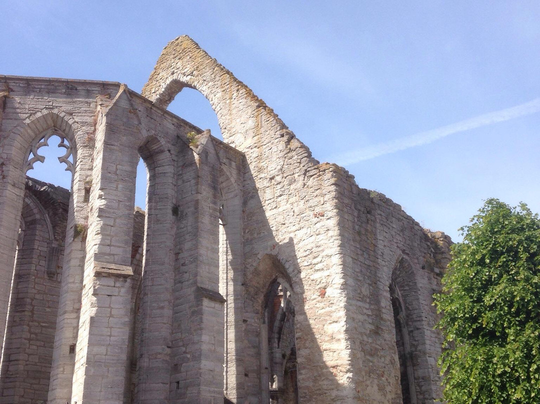 St. Karin Cathedral Ruins-维斯比必去景点