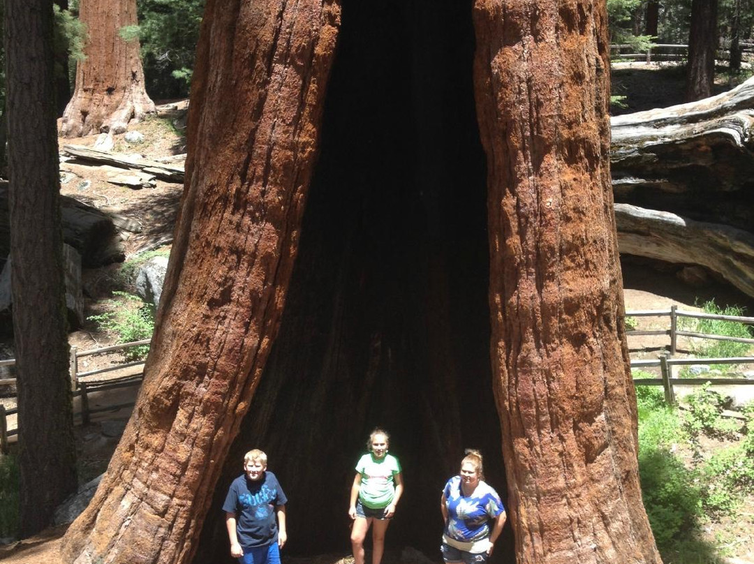 Grant Grove Stables-红杉&国王峡谷国家公园必去景点