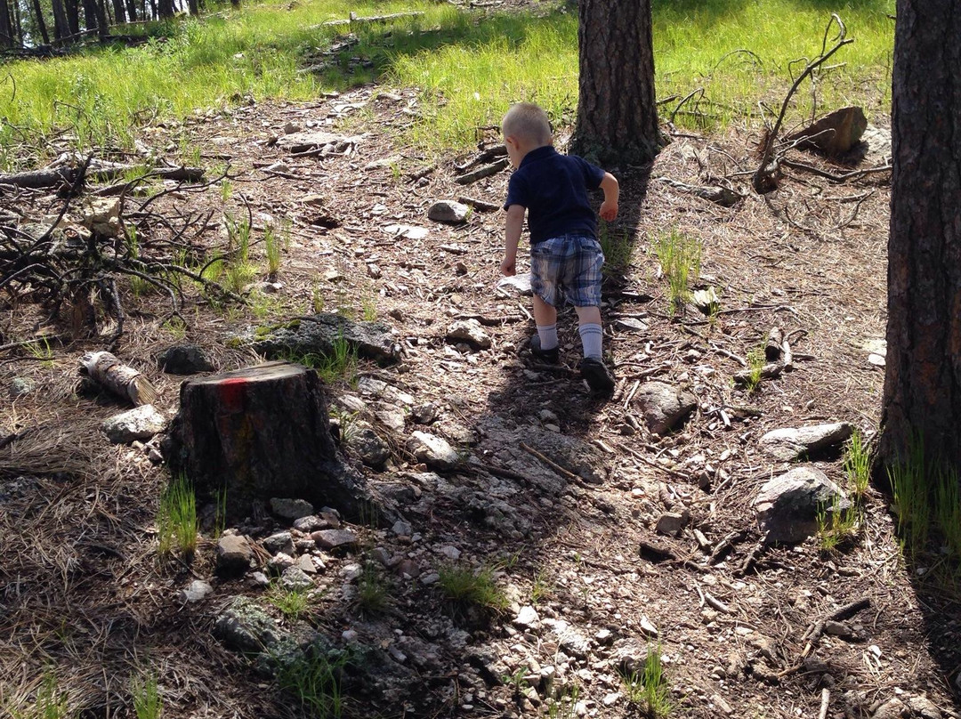 Stockade Lake-卡斯特必去景点