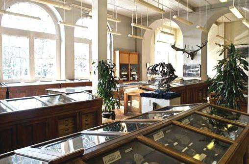 Lapworth Museum of Geology-伯明翰必去景点