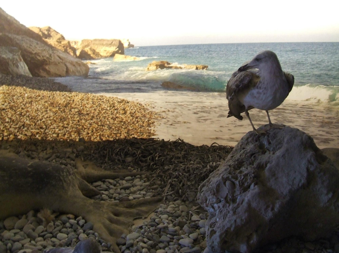 The Natural History Museum of Crete-伊拉克利翁必去景点