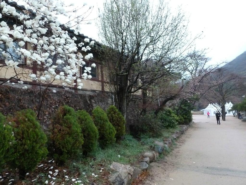 梵鱼寺-釜山必去景点