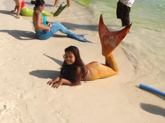 Fisheye Divers-长滩岛必去景点