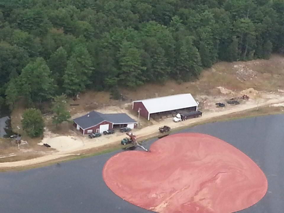 Firefly Inc Helicopters-South Carver必去景点