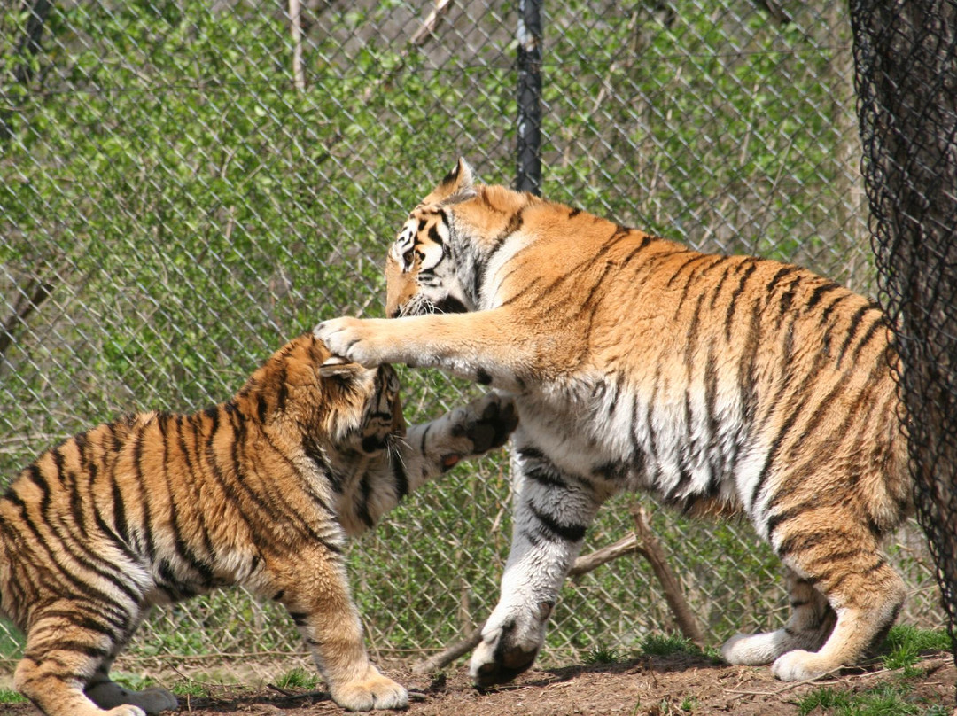 Pittsburgh Zoo & Aquarium景点图片