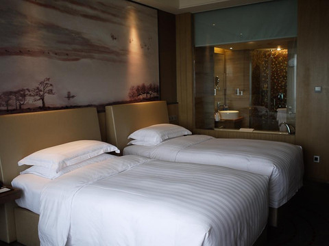 厦门宝龙雅高铂尔曼大酒店主图