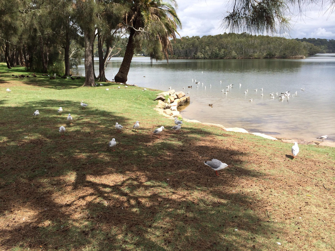 Narrabeen Lagoon State Park景点图片