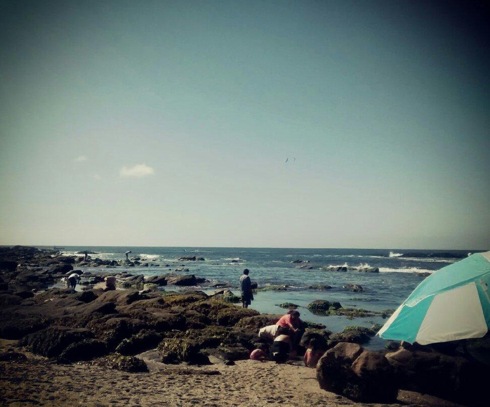 Caleta Horcón-瓦尔帕莱索必去景点