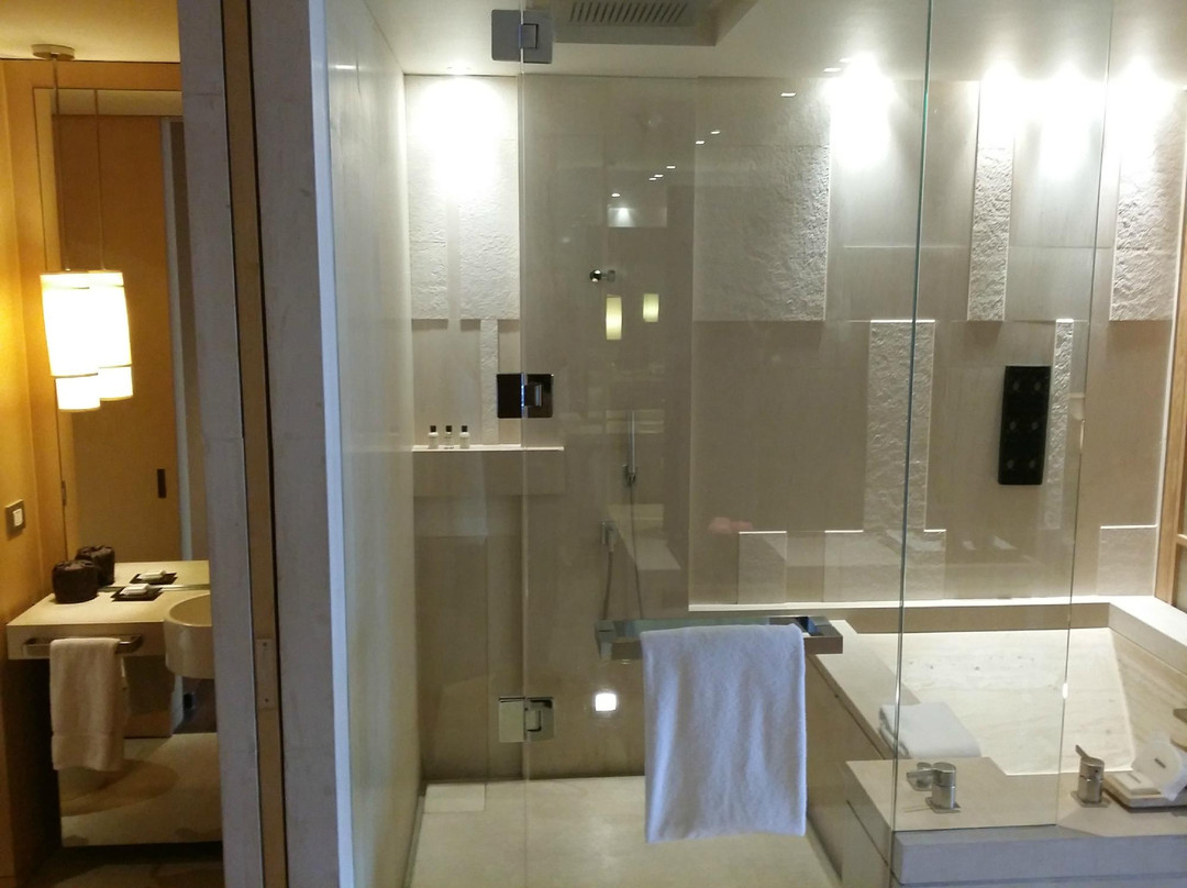 北京柏悦酒店主图