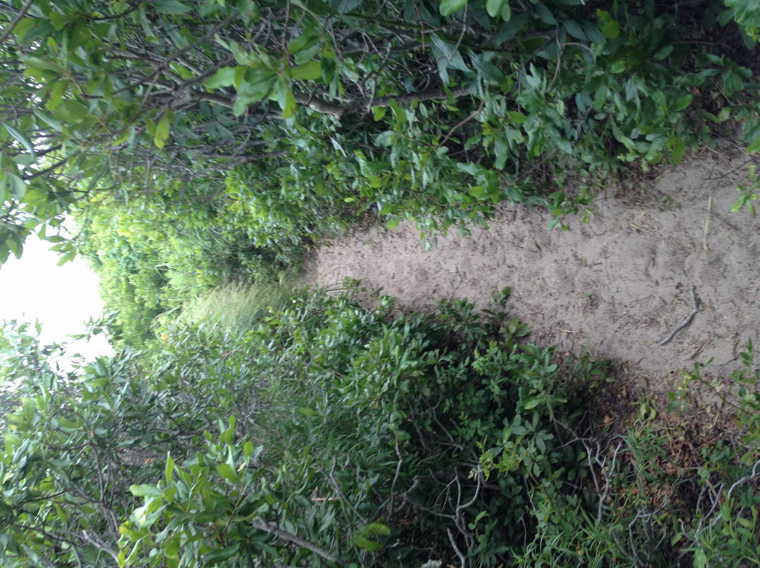 Fred Benson Town Beach-新肖勒姆必去景点