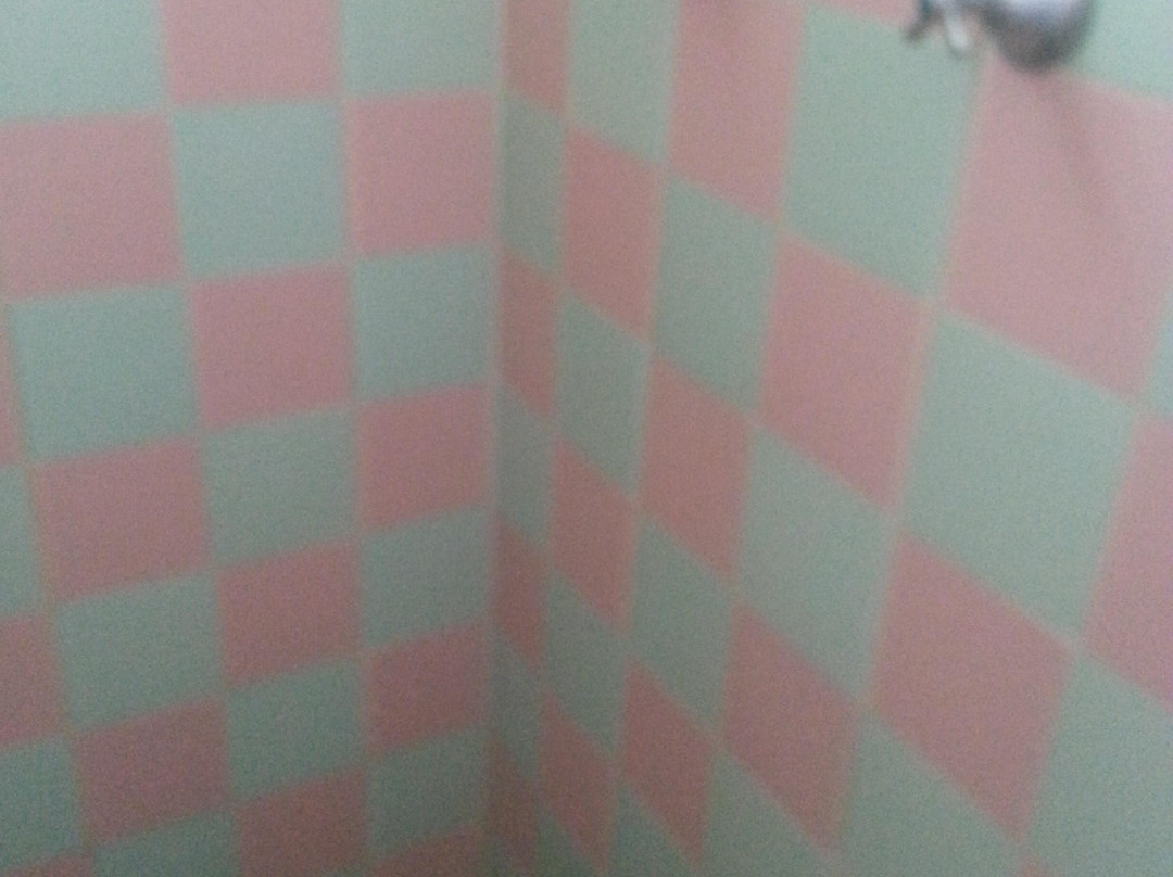 Bellevue Riverside Motel主图