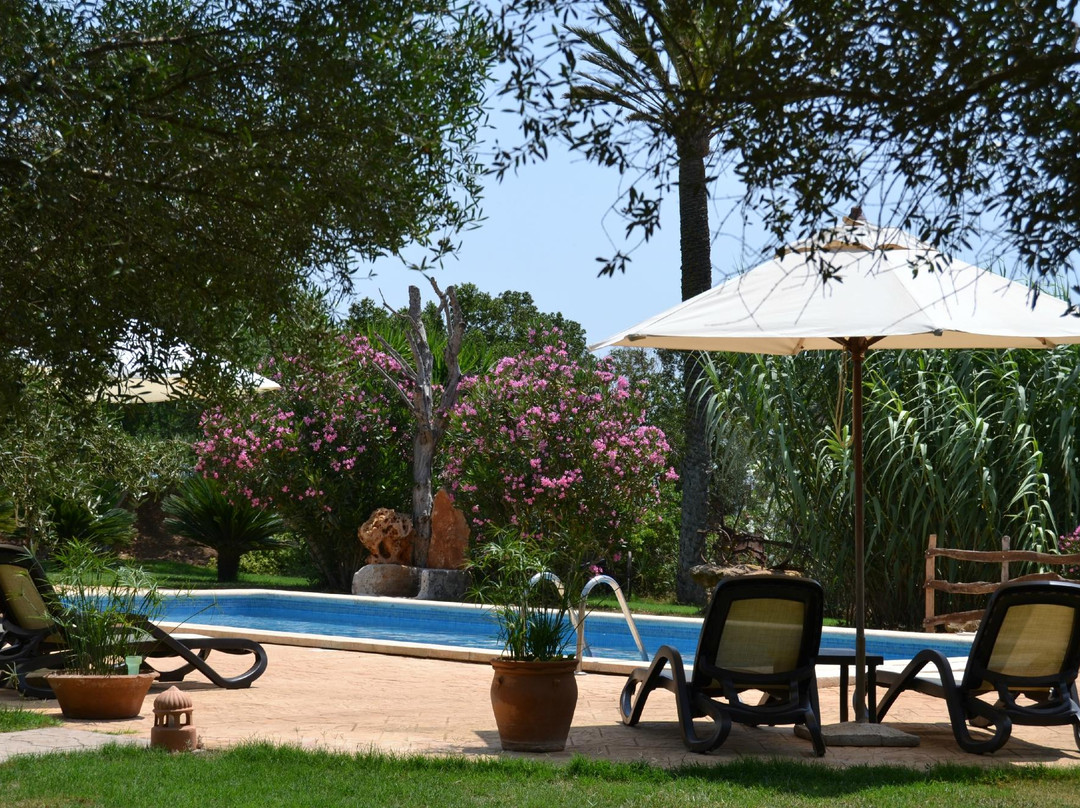 Campos酒店住宿-Agroturismo Finca Son Sala
