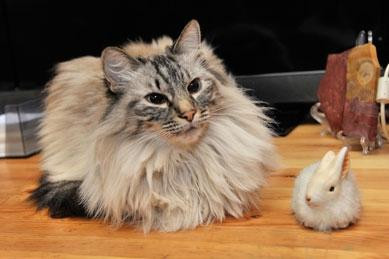 Galina's Homestay主图