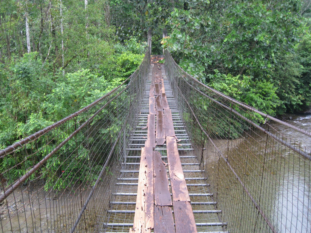 Bike Borneo-亚庇必去景点