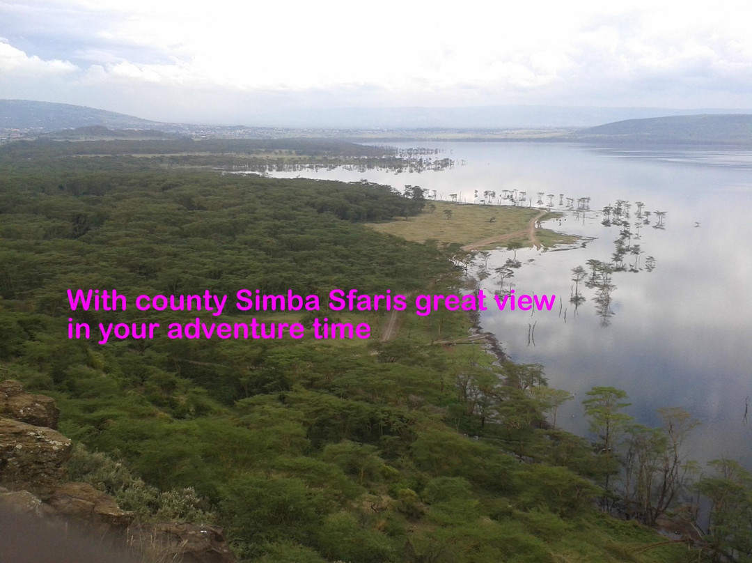 County Simba Safaris Day Tours景点图片