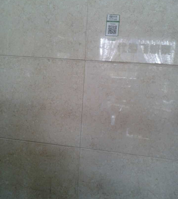 林芝中星花园酒店（牦牛广场店）主图