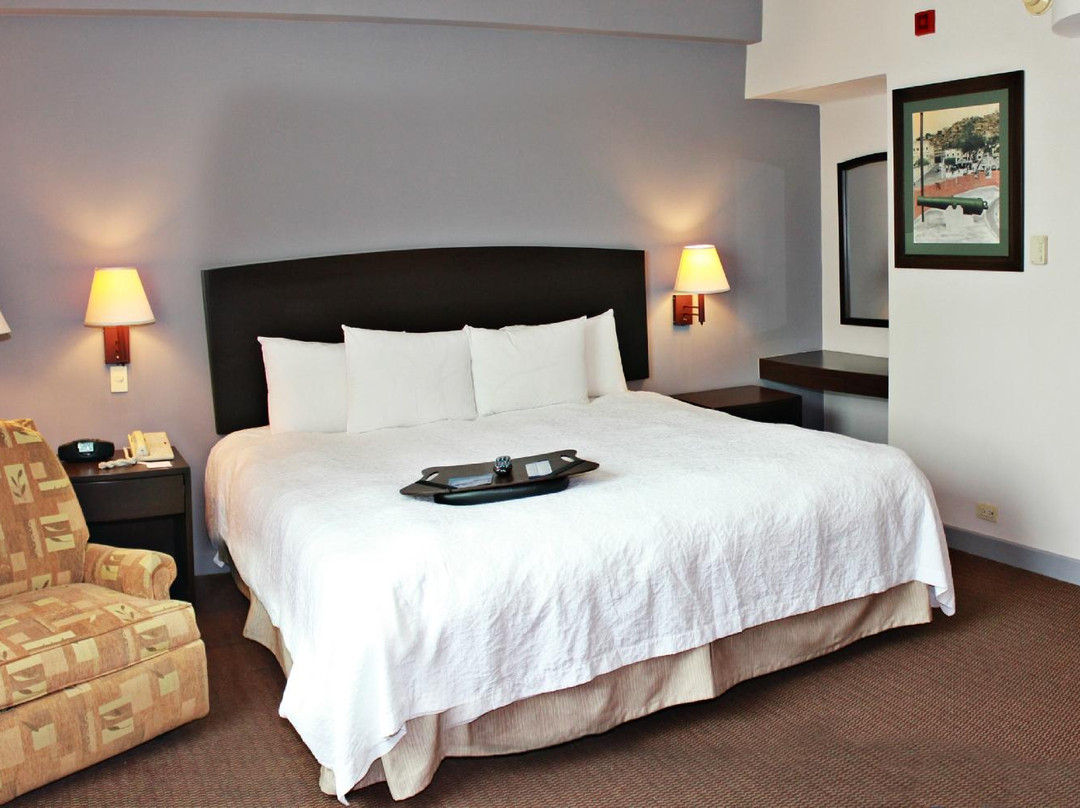Hampton Inn by Hilton Guayaquil-Downtown主图