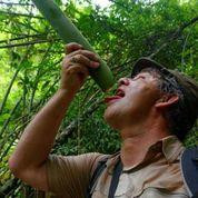 Highland Tour-邦隆必去景点