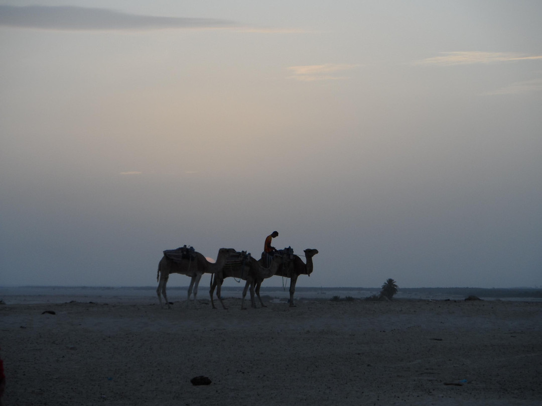 Sahara Desert-杜兹必去景点