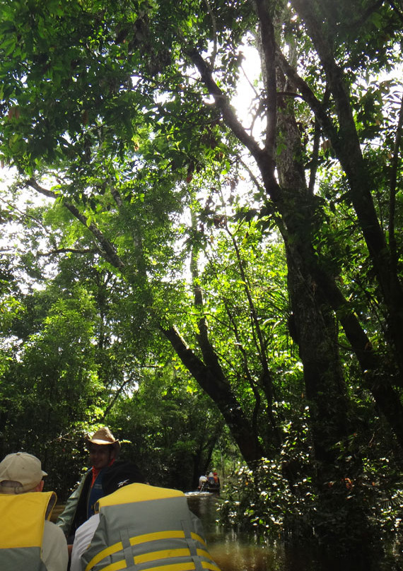 Amazonas Jungle Tours Operator-莱蒂西亚必去景点