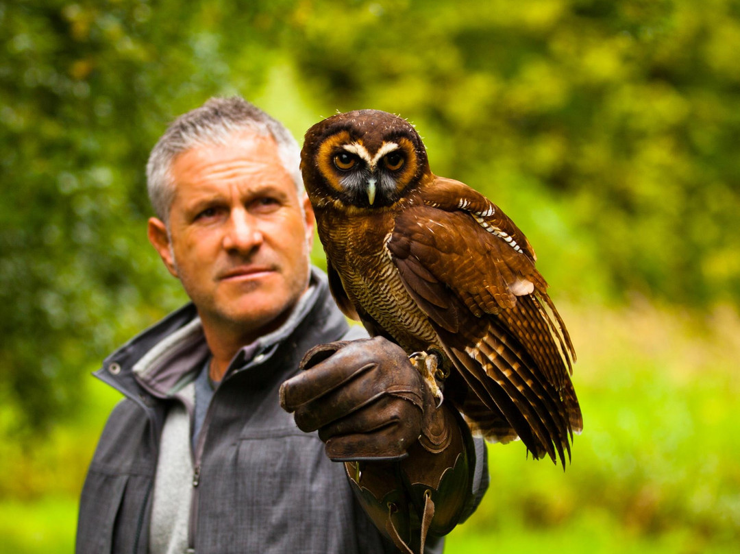 Elite Falconry-Kirkcaldy必去景点