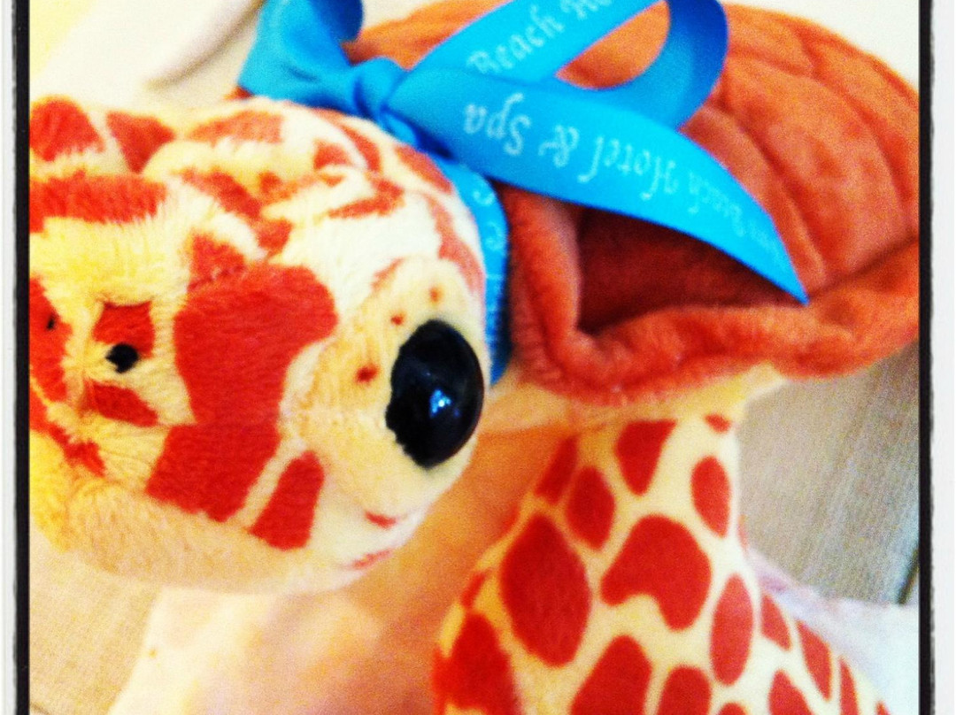 Sea Glass Boutique-维罗海滩必去景点