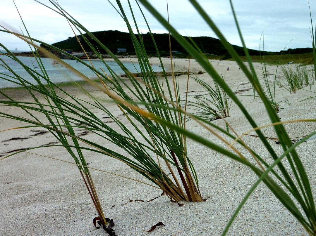 Will Wagstaff's Tours-St Mary's必去景点