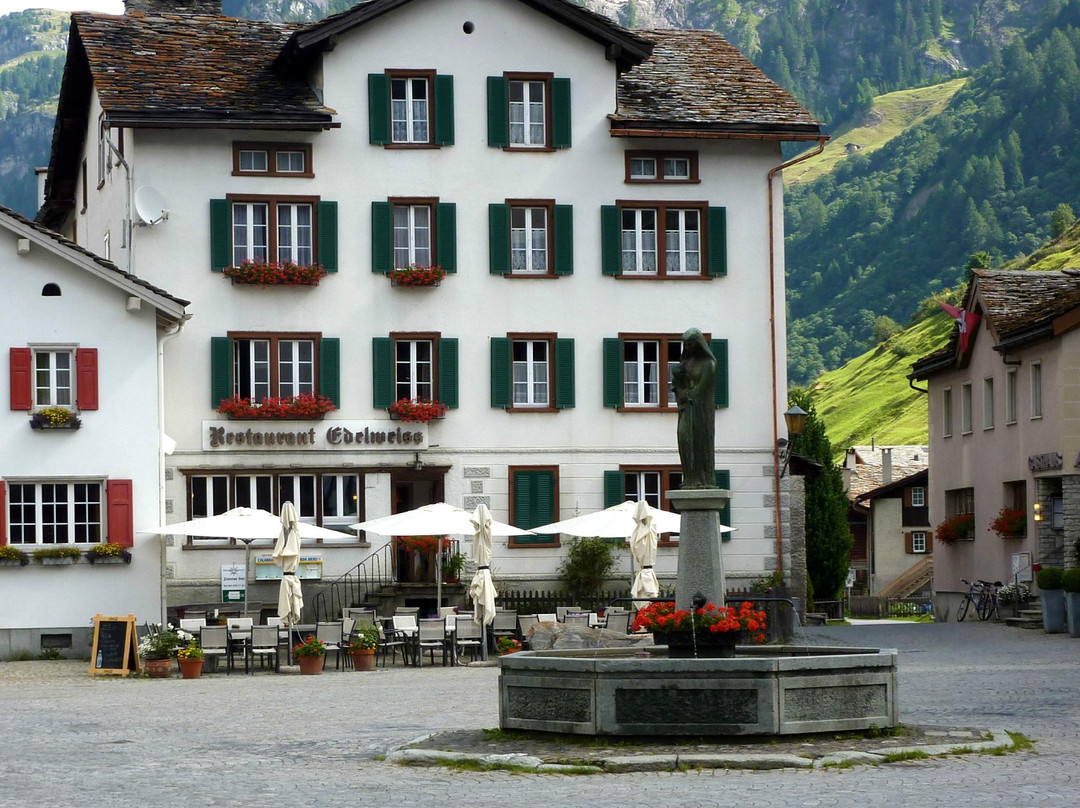 Gasthaus Edelweiss主图