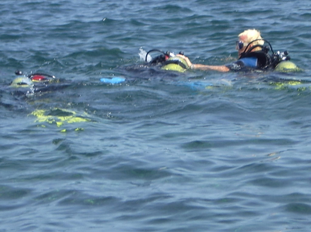 S'Algar Diving-Sant Lluis必去景点