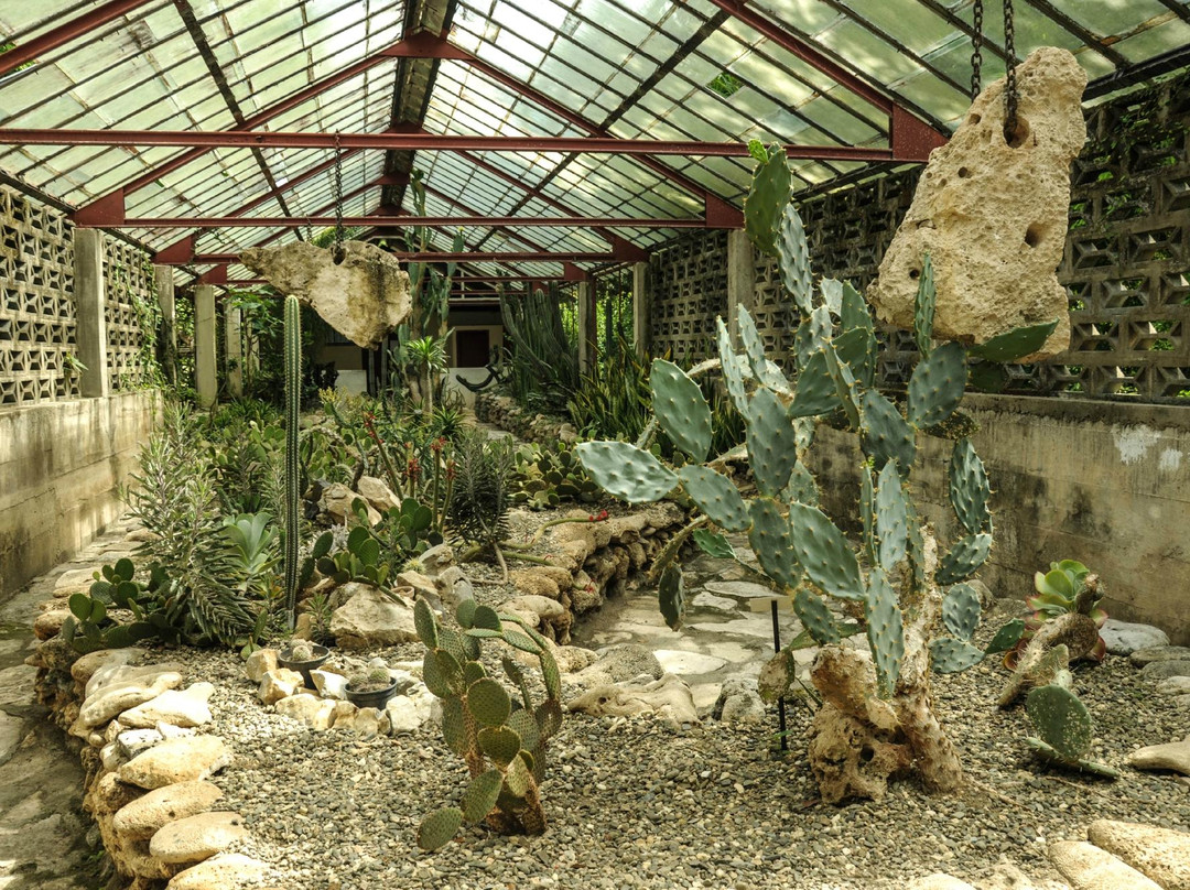 Jardín Botanico de Cienfuegos-西恩富戈斯必去景点