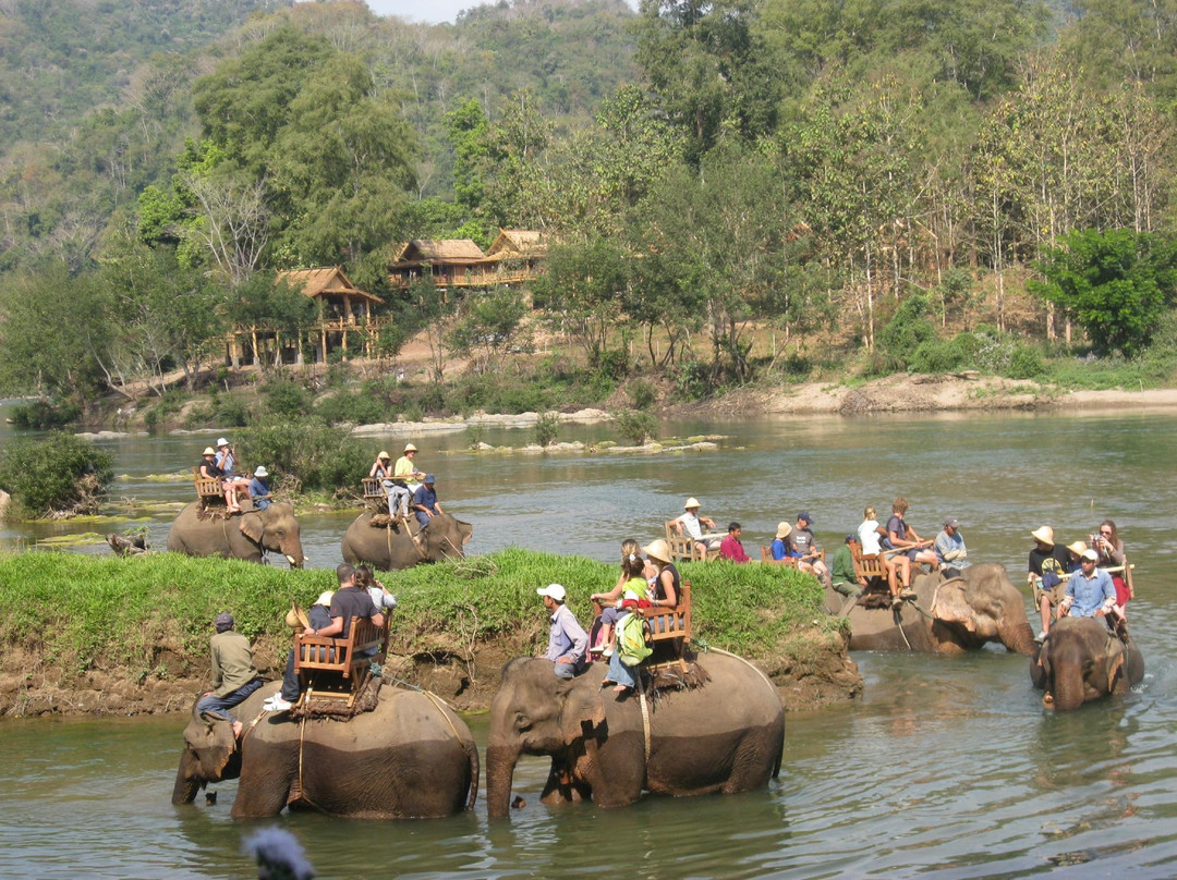 All Lao Elephant Camp-琅勃拉邦必去景点