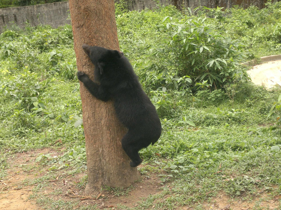 Dulahazra Safari Park景点图片