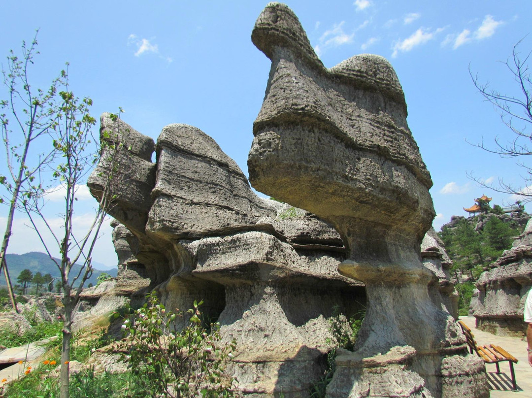 万盛黑山谷旅游区景点图片