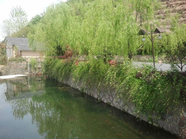 美林度假村主图