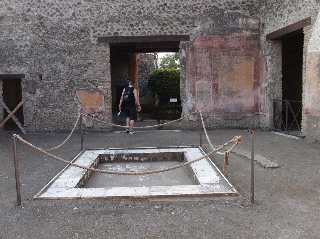 Casa della Venere in Conchiglia景点图片