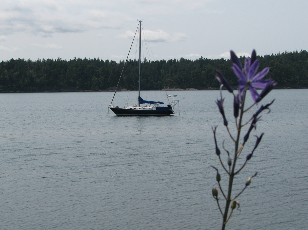 Sucia Island State Park景点图片