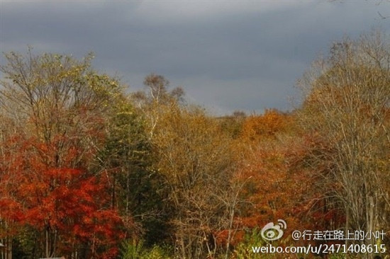 横头山-哈尔滨市必去景点