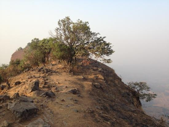 Mount Barry景点图片