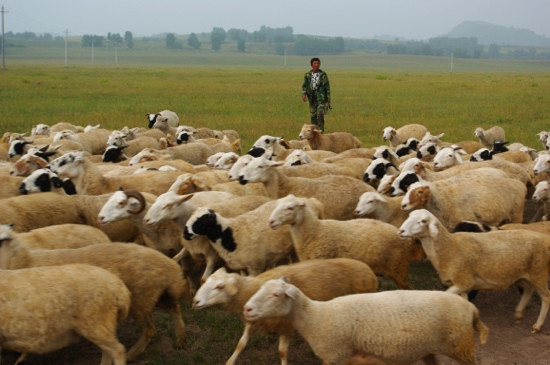 乌兰布统旅游区-克什克腾旗必去景点