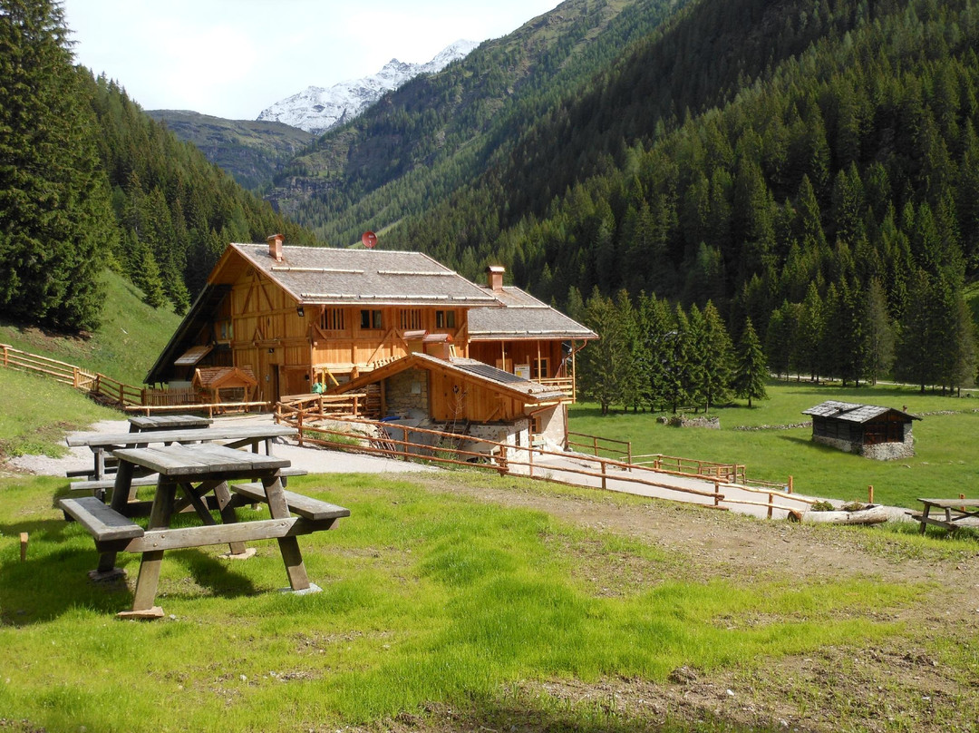 Rabbi酒店住宿-Maso Coler