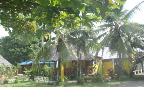 Jungle Juice Bar Cafe