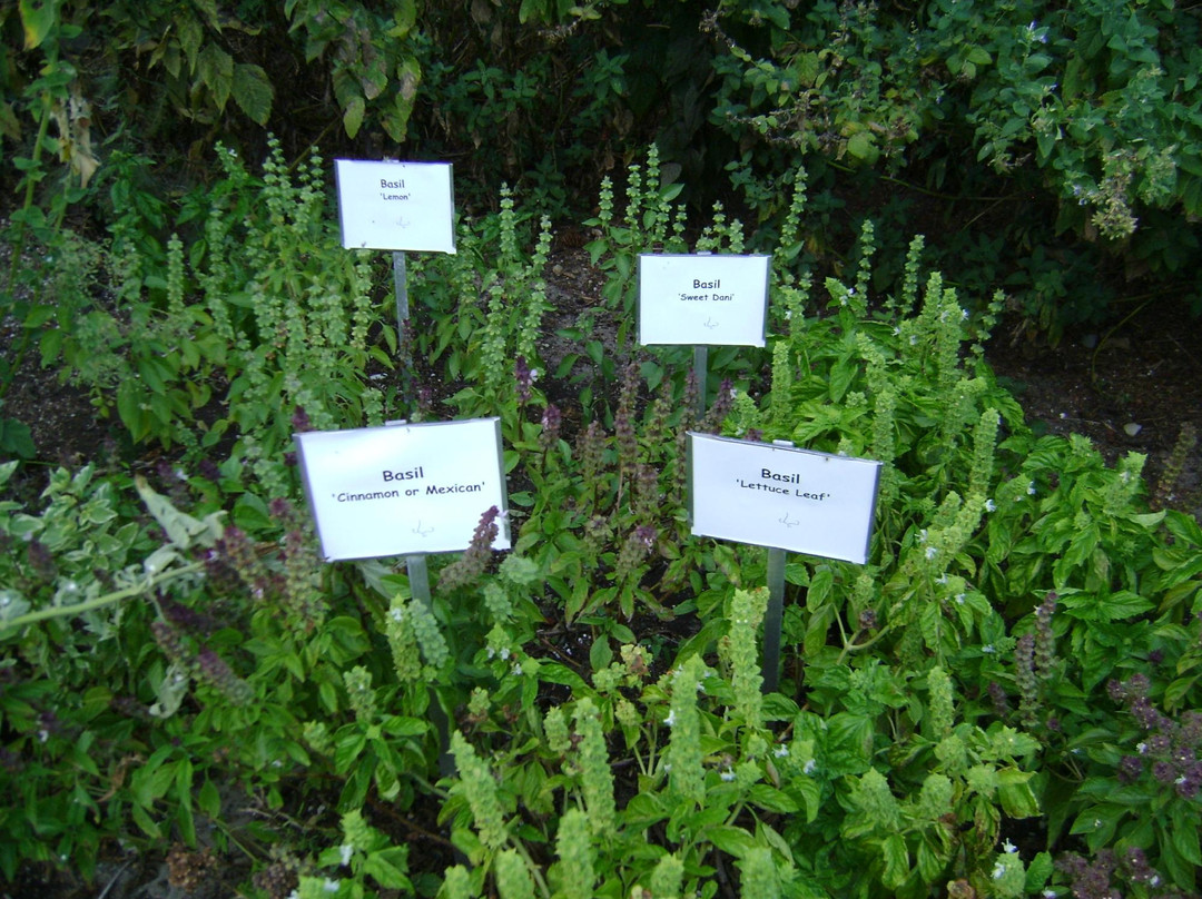 4-H Children's Garden景点图片